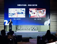 冲刺阶段突围战来临，芝加哥公牛围绕足总杯迎来里程碑，话题不断，赛程密集仍需轮换的简单介绍